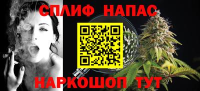 СК Славянск-на-Кубани