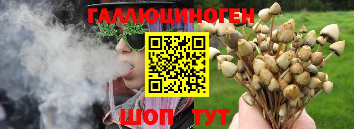 Псилоцибиновые грибы MAGIC MUSHROOMS Новоалтайск