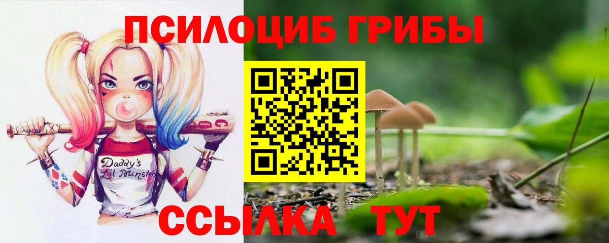 Новоалтайск  Галлюциногенные грибы Cubensis  Вход с VPN 